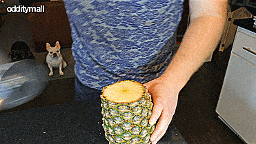 Easy Pineapple Slicer De-Cores Pineapples In Seconds