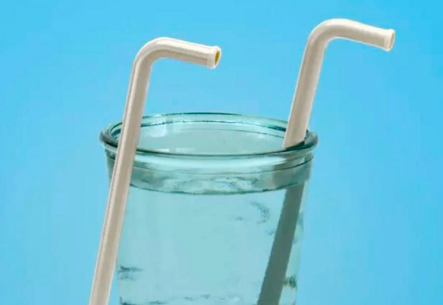 Elephant Straws - Reusable elephant trunk straws
