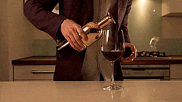 Eto Wine Preserver - Wine Preserver removes all air from wine bottle - water-tight air seal wine bottle decanter