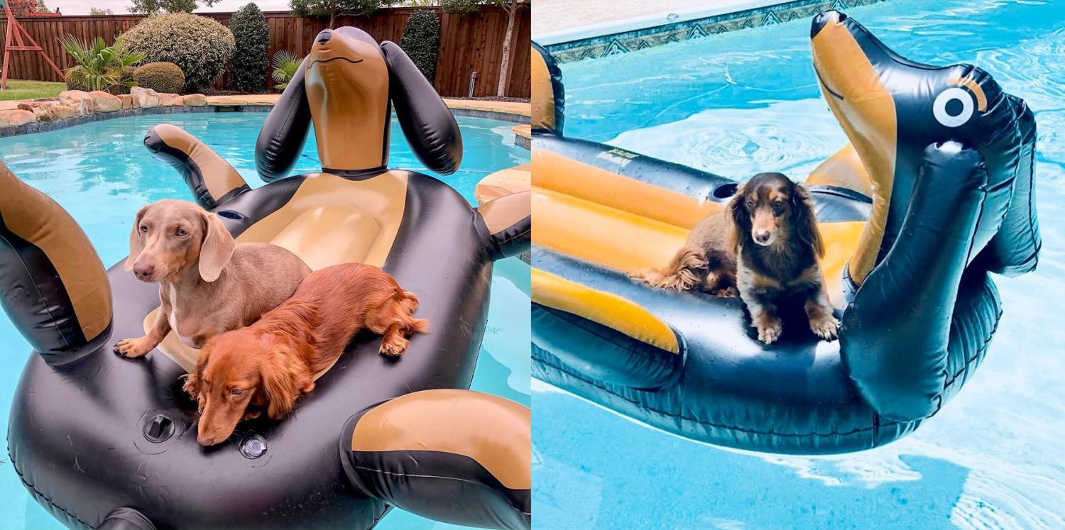 Giant Dachshund Dog Pool Float - Huge Wiener Dog Pool Float