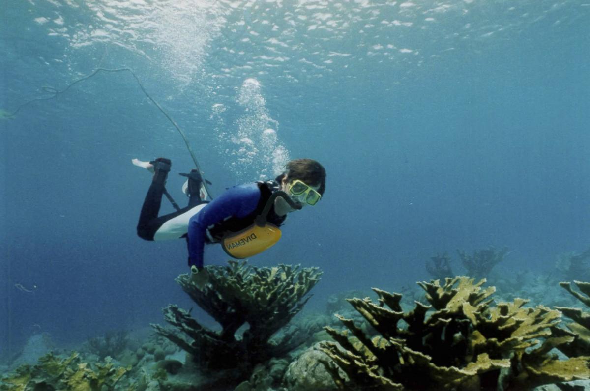 ExoLung - Infinite Underwater Breathing - Unique foot powered Scuba Diving Rig