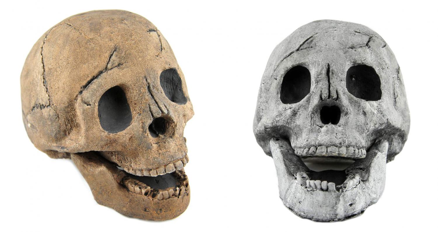 Fake Fireproof Human Skulls For Your Fire-pit - Burning skull bonfire Halloween prop