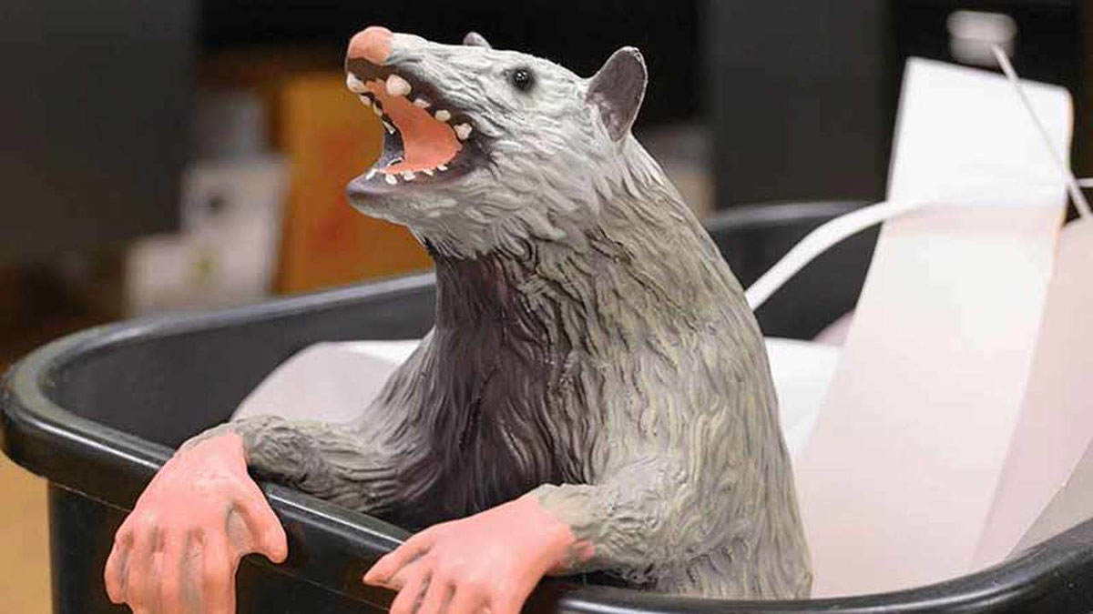 office trash possum - Funny prank possum for the office trash can