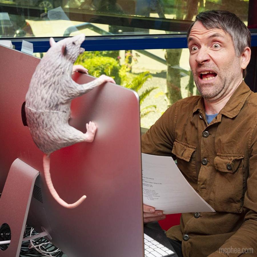 office trash possum - Funny prank possum for the office trash can