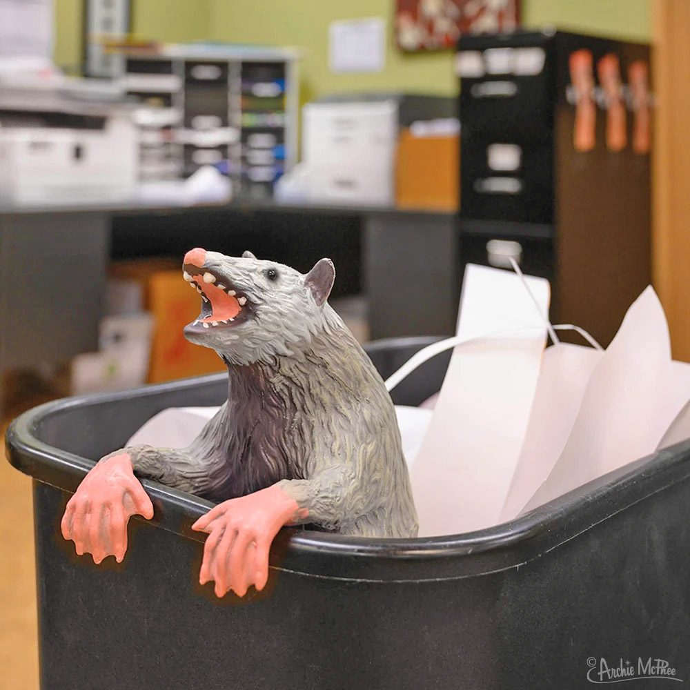 office trash possum - Funny prank possum for the office trash can