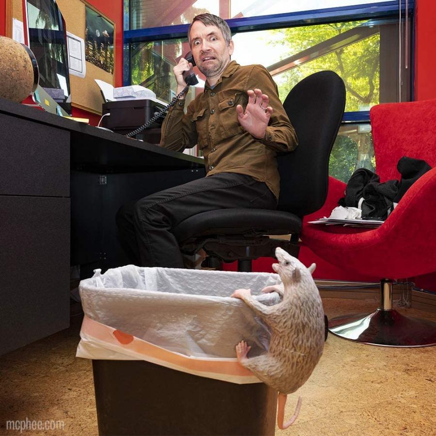 office trash possum - Funny prank possum for the office trash can