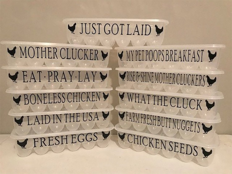 Funny Plastic Chicken Egg Cartons - Reusable joke chicken coop egg cartons - My Pet Poops Breakfast
