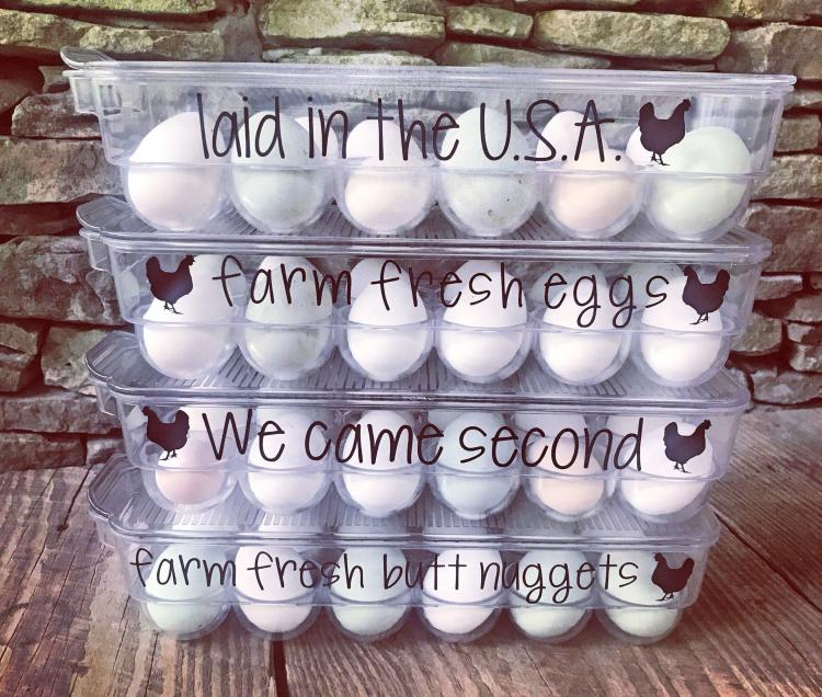 Funny Plastic Chicken Egg Cartons - Reusable joke chicken coop egg cartons - My Pet Poops Breakfast