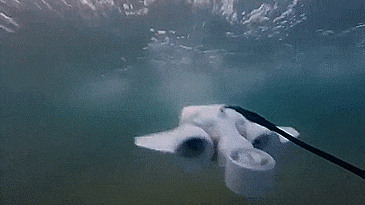 Fathom One - Underwater Drone - Sea Drone Connects To Your Smartphone or Tablet - Live view underwater drone