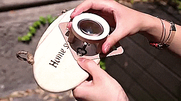 FEBO Sun Magnifying Engraver - GIF