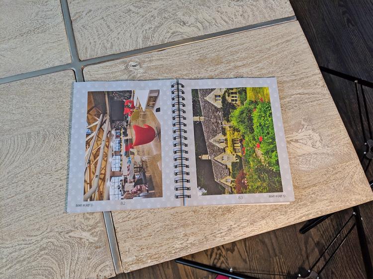 Find The Cat Book - Like Where's Waldo Except It's Cats - Where's waldo cat book
