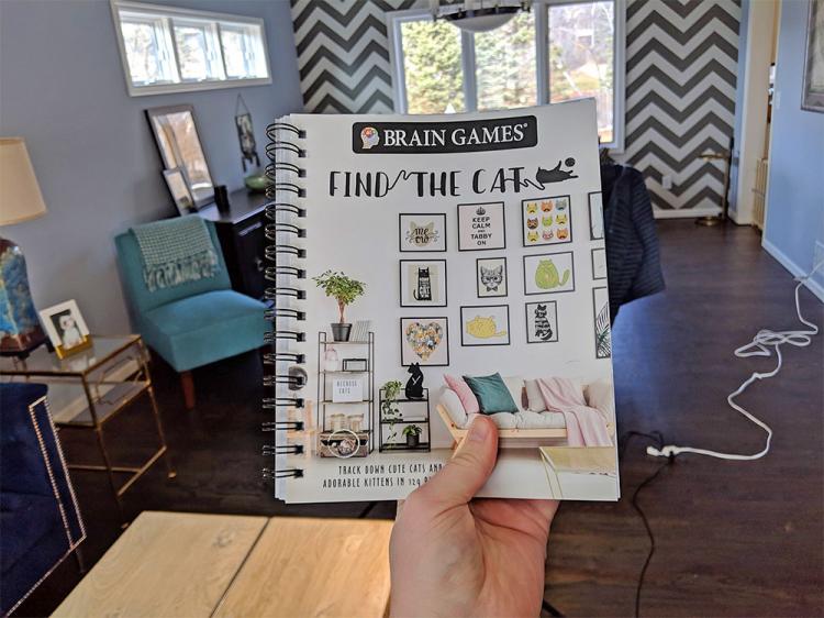 Find The Cat Book - Like Where's Waldo Except It's Cats - Where's waldo cat book