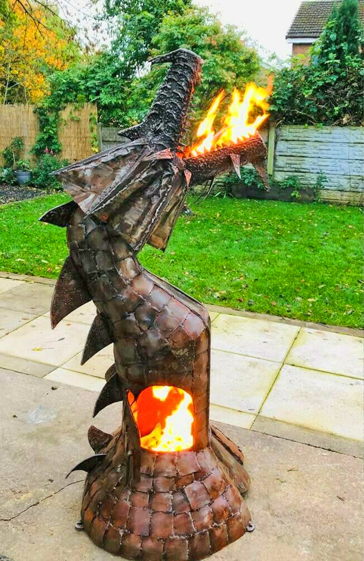 Fire Breathing Dragon Wood Burning Stove