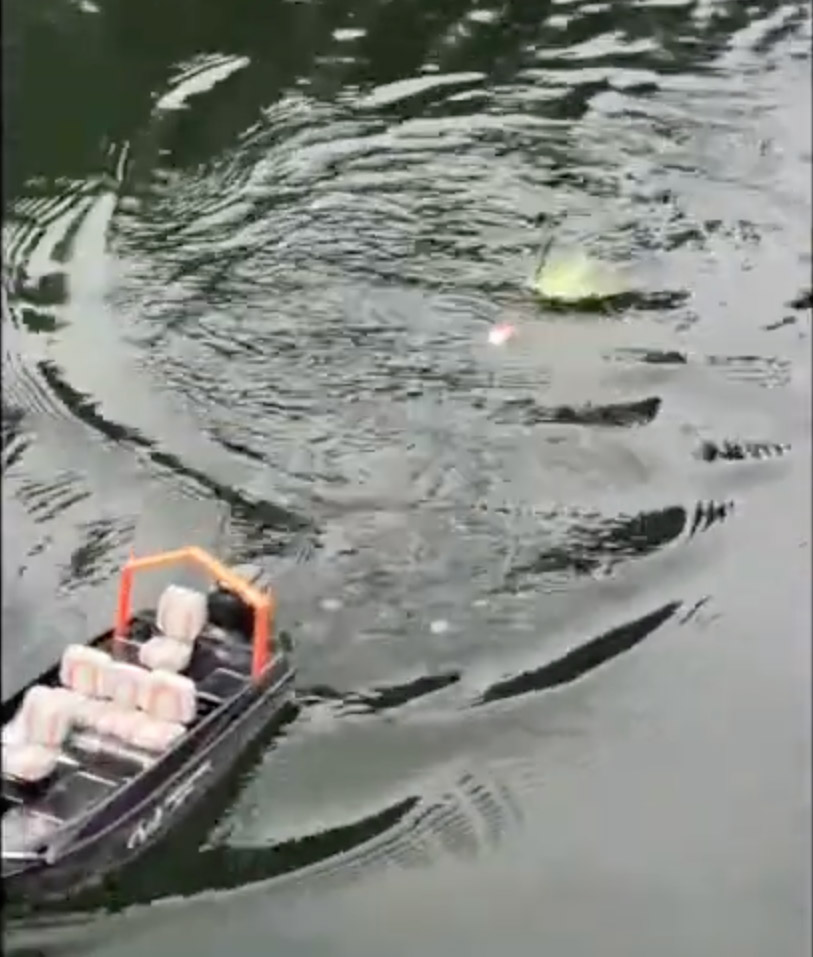 Remote Control Boat That Catches Fish