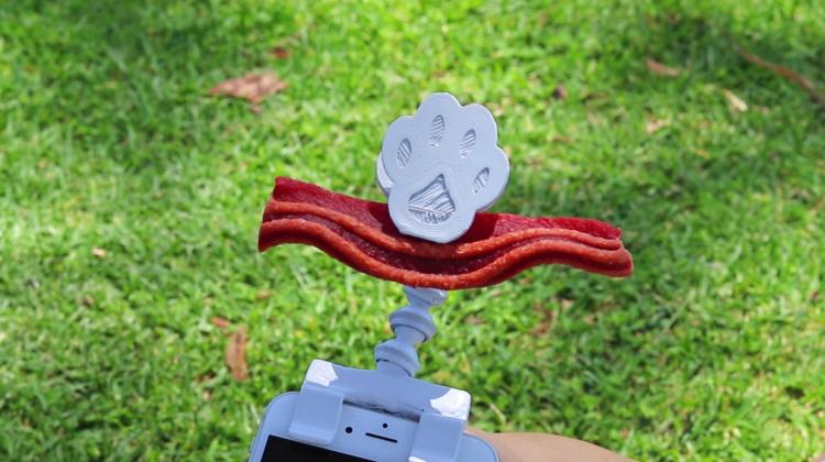 Flexy Paw - Smart Phone Camera Treat Holder - Smart Phone Treat Holder For Dog Pictures - Dog Selfies