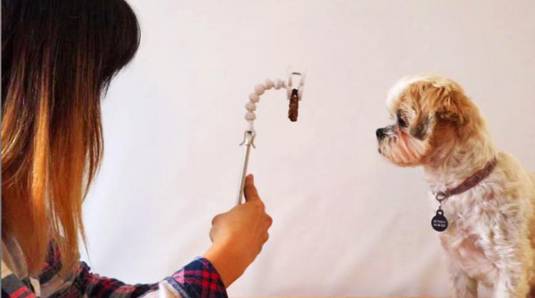 Flexy Paw - Smart Phone Camera Treat Holder - Smart Phone Treat Holder For Dog Pictures - Dog Selfies