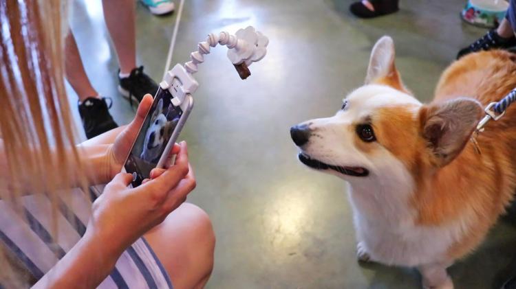 Flexy Paw - Smart Phone Camera Treat Holder - Smart Phone Treat Holder For Dog Pictures - Dog Selfies
