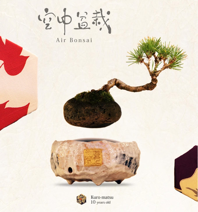Air Bonsai - Magnetic Floating Bonsai Tree