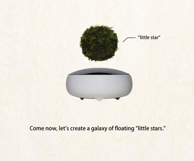 Air Bonsai - Magnetic Floating Bonsai Tree