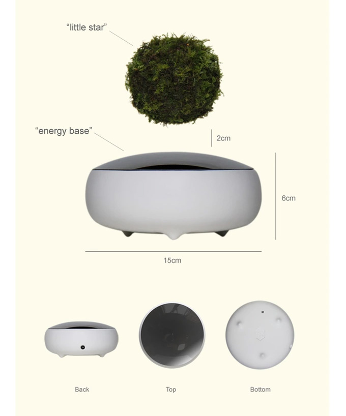 Air Bonsai - Magnetic Floating Bonsai Tree