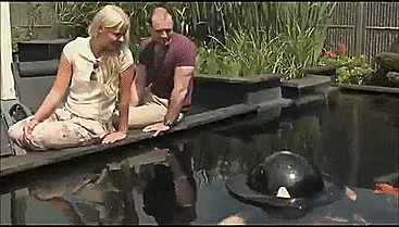 Fish Dome - Observe Fish Through Water Bubble