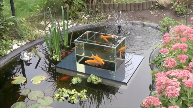 Floating Fish Observatory - Floating Fish Aquarium Inside Koi Pond