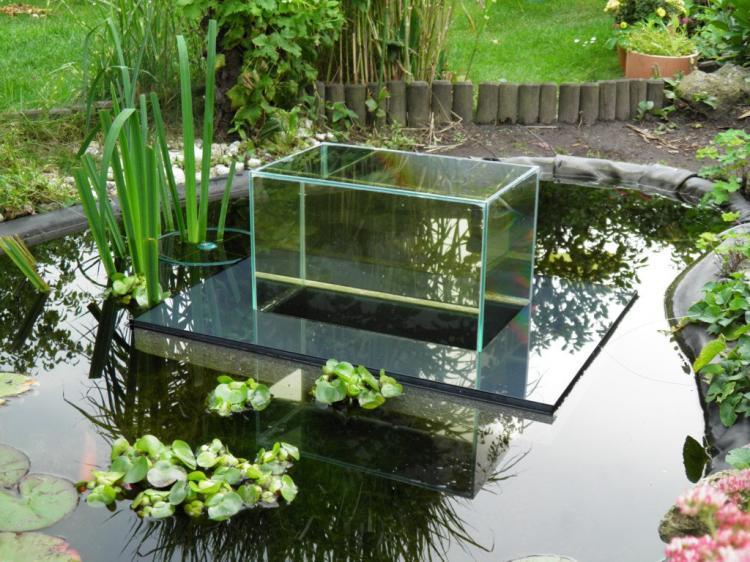 Floating Fish Observatory - Floating Fish Aquarium Inside Koi Pond