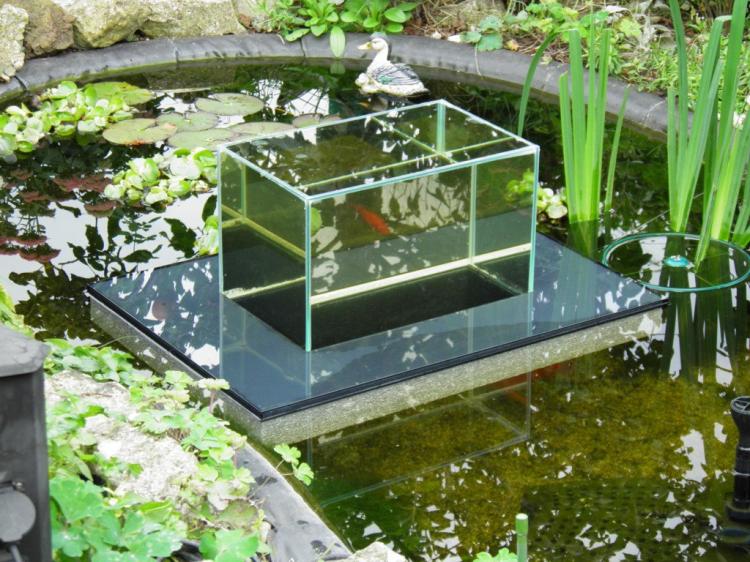 Floating Fish Observatory - Floating Fish Aquarium Inside Koi Pond