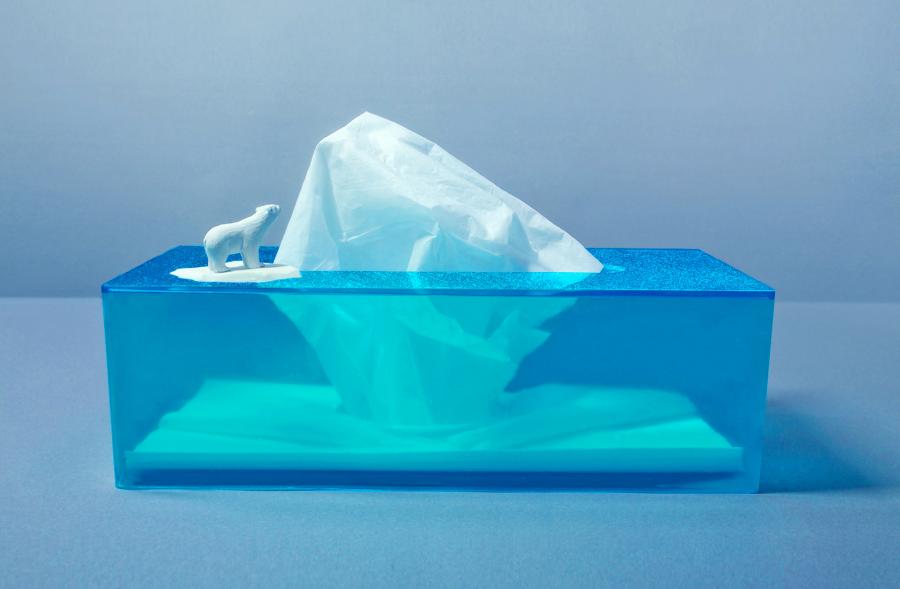 Iceberg Tissue Dispenser With Polar Bear