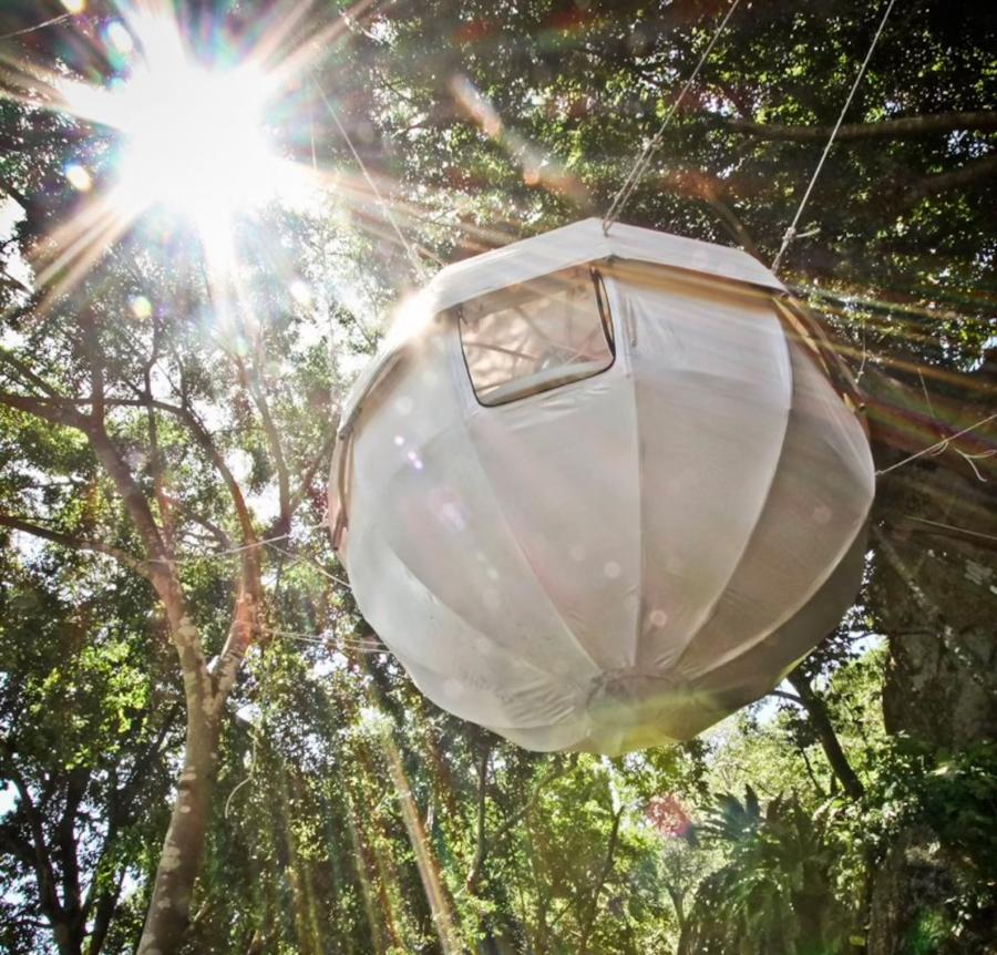 Floating Tree Tent Dome Tree Fort