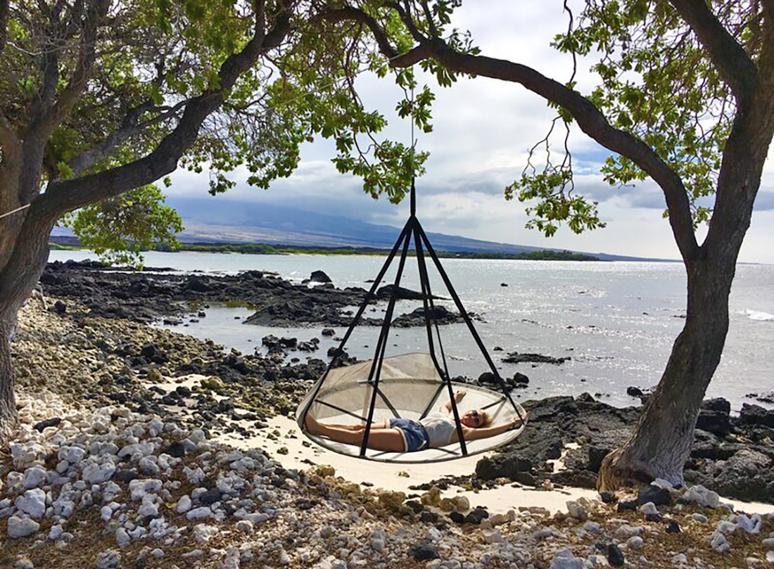 Giant Flying Saucer Hanging Tree Hammock Chair