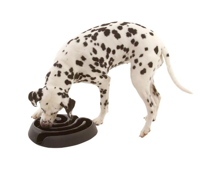 Buster Maze Shaped Dog Food Bowl Puzzle