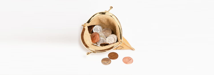 Fortune Cookie Coin Purse