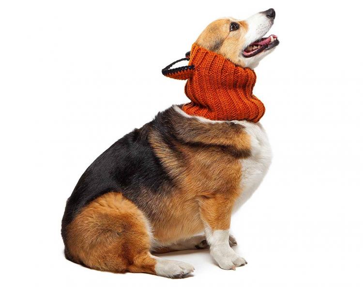 Zoo Snoods - Fox Shaped Dog Hood - Knit dog hood turns your dog into a fox