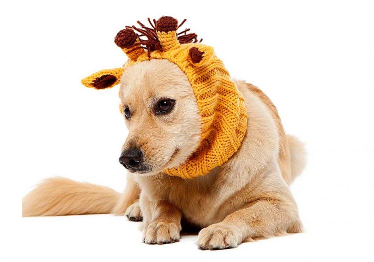 Zoo Snoods - Giraffe Shaped Dog Hood - Knit dog hood turns your dog into a giraffe