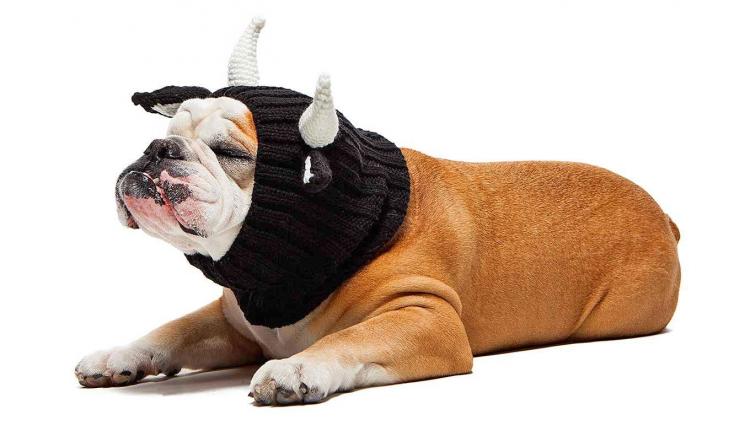 Zoo Snoods - Bull Shaped Dog Hood - Knit dog hood turns your dog into a Bull