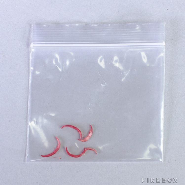 Frame-a-Friend Kit - Damning Crime Scene Evidence To Prank Friends