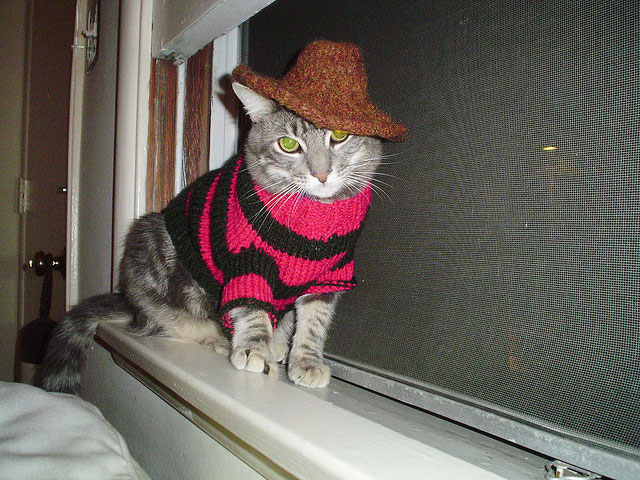 Freddy Krueger Dog Costume