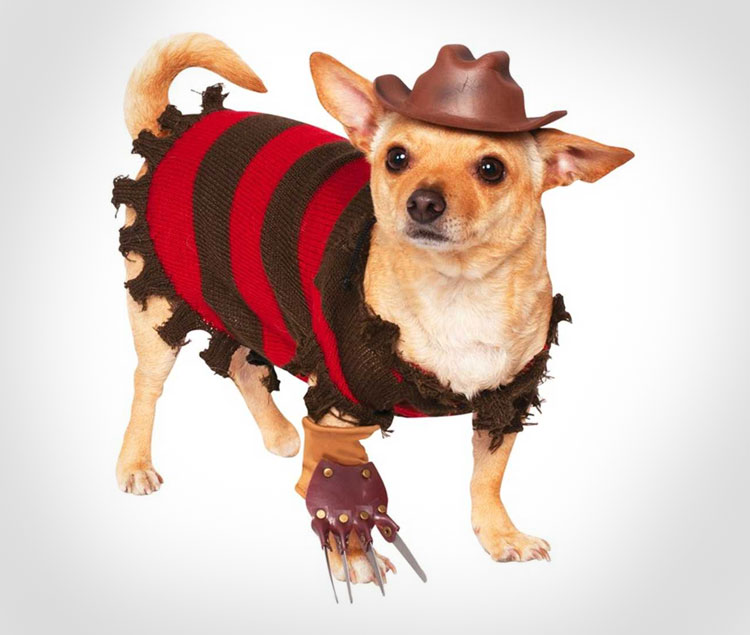 Freddy Krueger Dog Costume