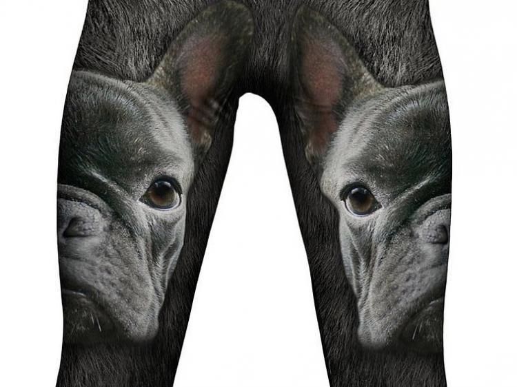 French Bulldog Leggings / Yoga Pants