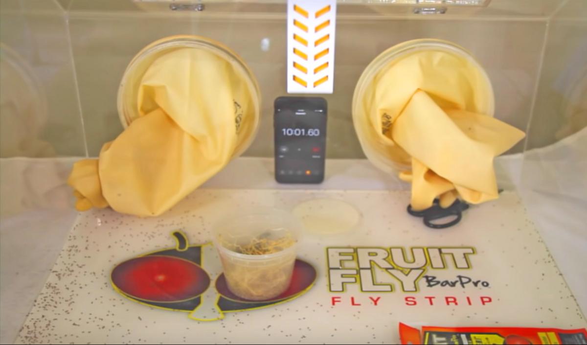 Fruit Fly BarPro - Genius Fruit Fly Killing Gadget