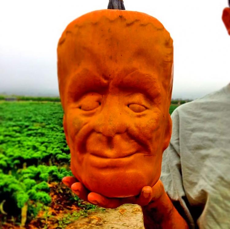 Fruit Molds Make Fun Shaped Fruits and Vegetables - Heart Shaped Watermelon - Square Watermelon - Buddha Pears - Square Apples