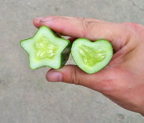Fruit Molds Make Fun Shaped Fruits and Vegetables - Heart Shaped Watermelon - Square Watermelon - Buddha Pears - Square Apples