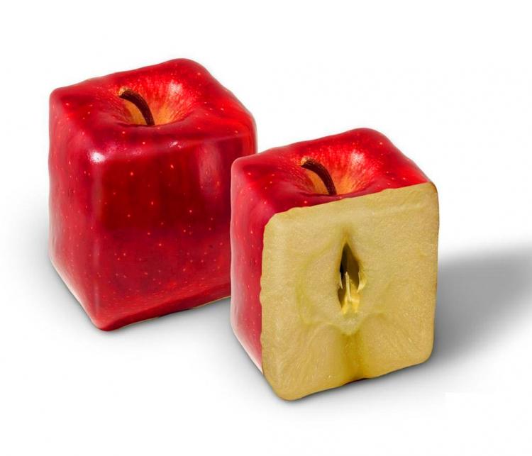 Fruit Molds Make Fun Shaped Fruits and Vegetables - Heart Shaped Watermelon - Square Watermelon - Buddha Pears - Square Apples