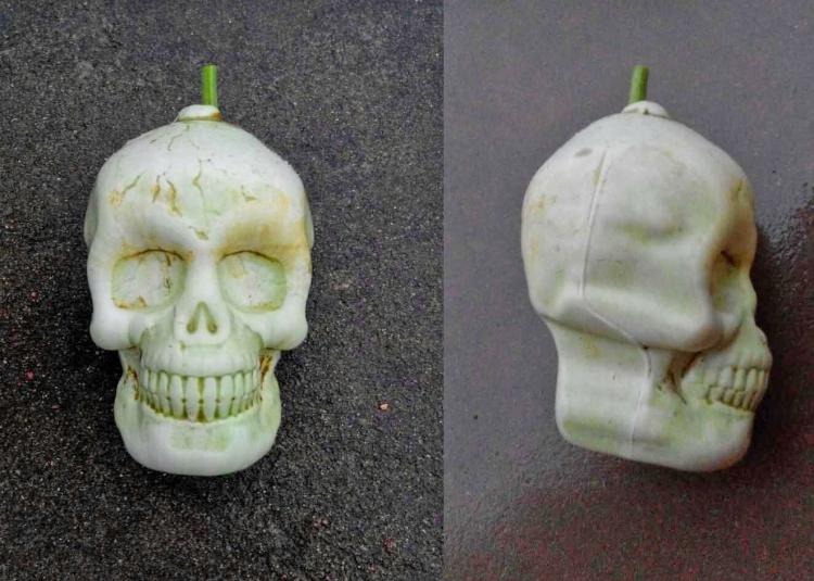 Fruit Molds Make Fun Shaped Fruits and Vegetables - Heart Shaped Watermelon - Square Watermelon - Buddha Pears - Square Apples