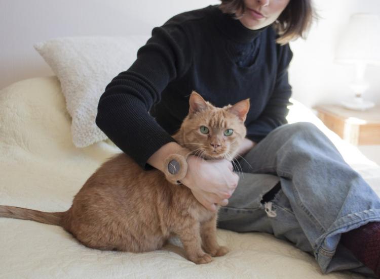 Fur Watch - Fur Watches Made from actual pet fur - send in your dog or cats fur for custom made fur watch