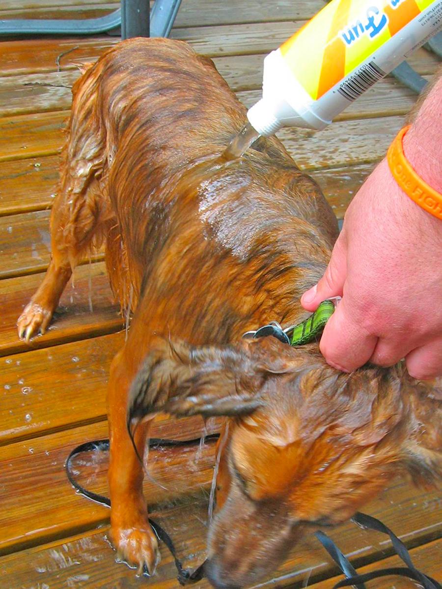 Garden Hose Chemical Filter hose attachment