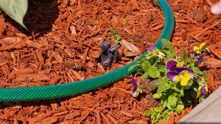 Garden Thorn Underground Plant Watering System - Sub-surface garden irrigation system - Garden Spike garden hose