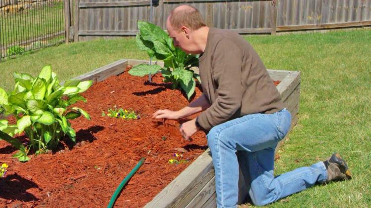 Garden Thorn Underground Plant Watering System - Sub-surface garden irrigation system - Garden Spike garden hose