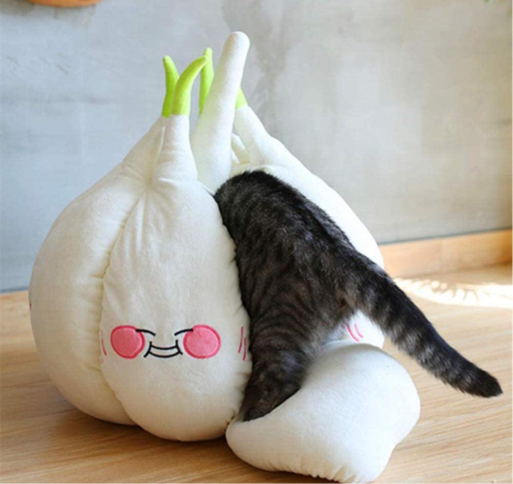 Garlic Pet Bed - Garlic bulb shaped cat bed